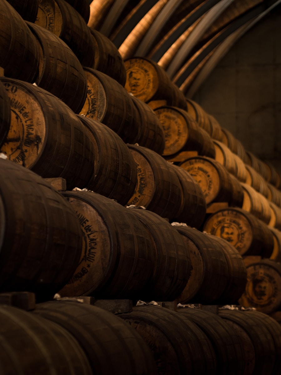 les meilleures pratiques de stockage du vin pour une conservation optimale
