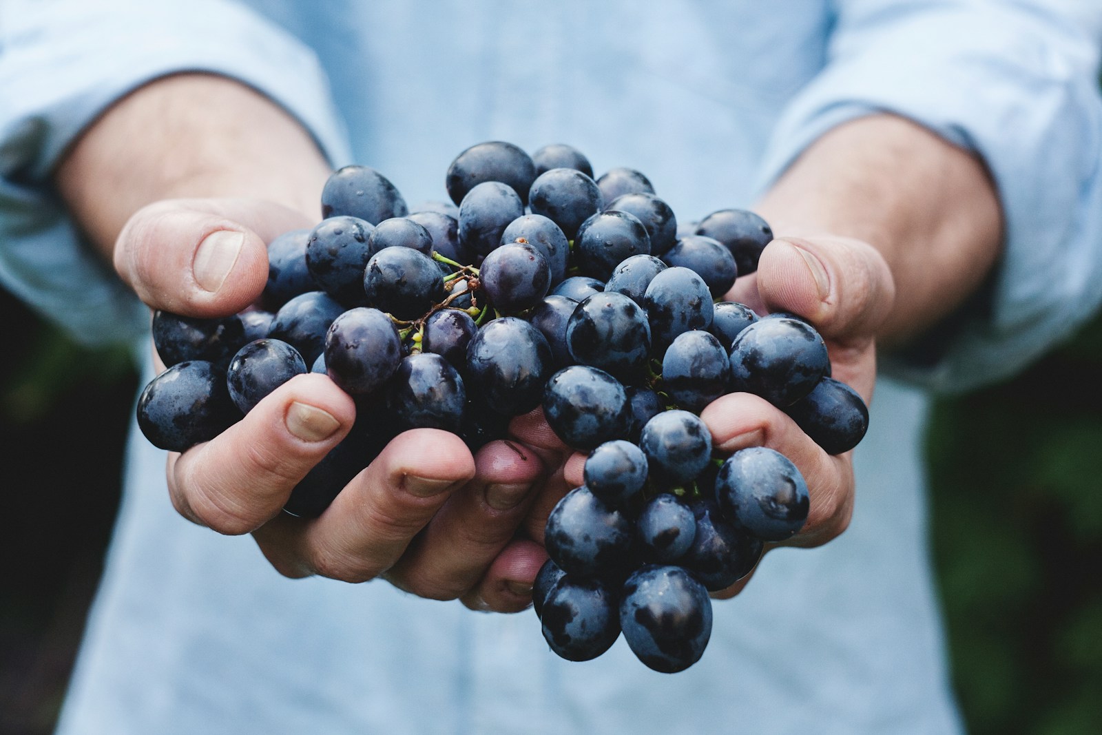 Devenir sommelier : parcours, formations et clés de la réussite dans l'univers du vin