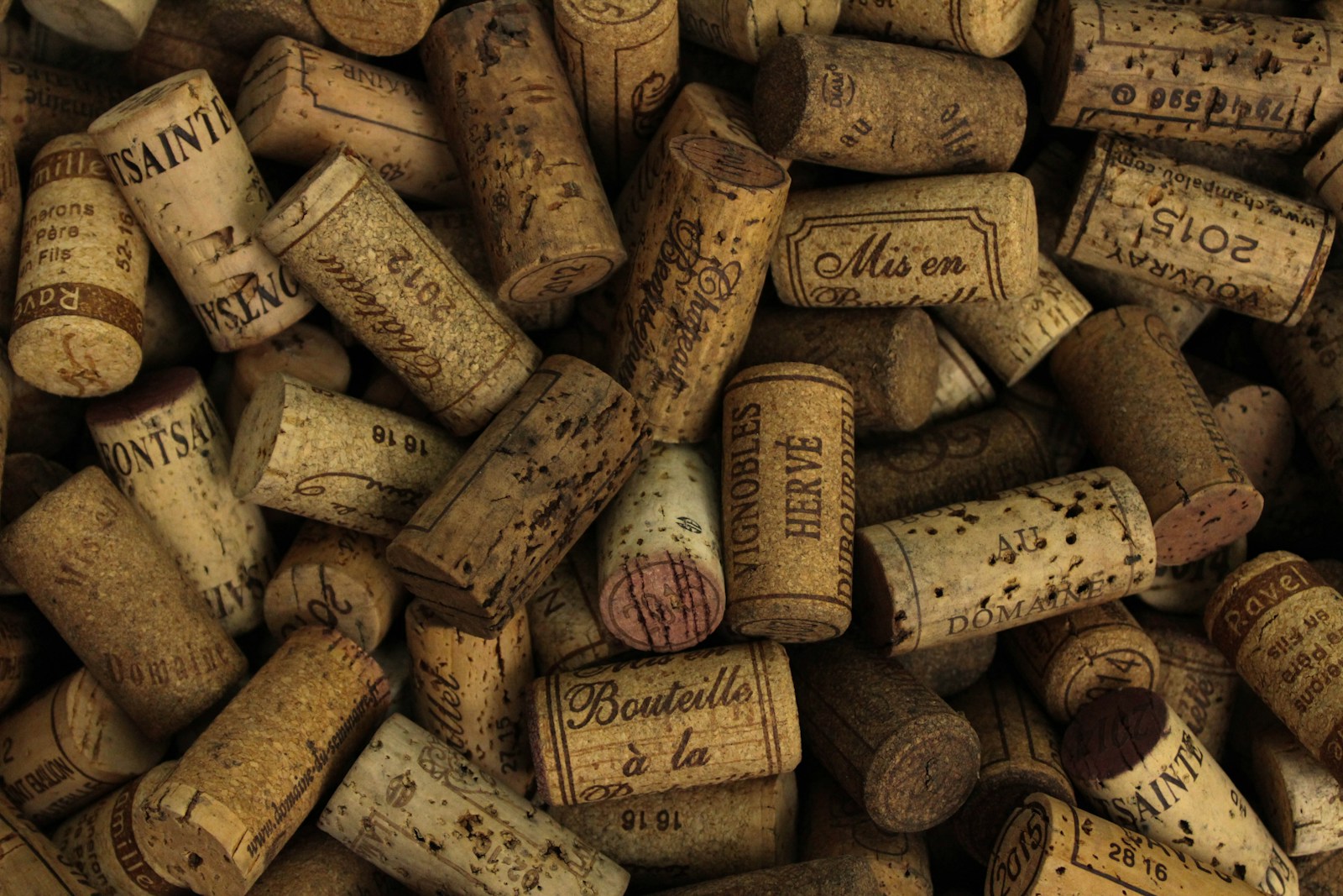 Romanée Conti : plongée dans l'univers d'un vin d'exception