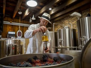 Les bienfaits méconnus de la macération carbonique dans l’élaboration des vins.