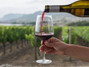 Les vins sans sulfites ajoutés : entre défi œnologique et nouvelle attente des consommateurs
