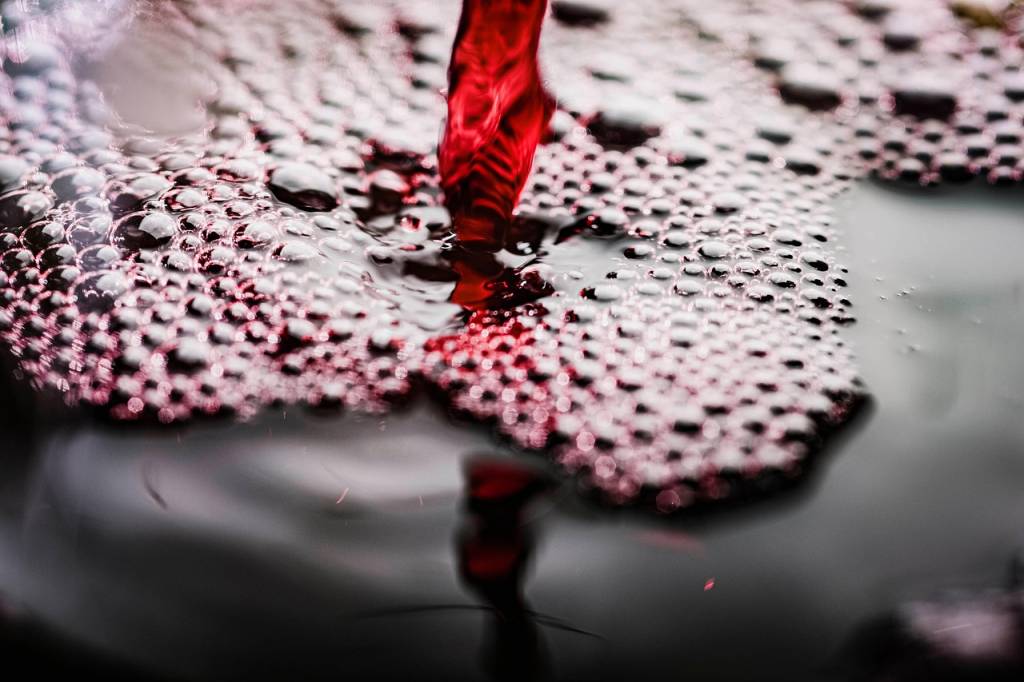 Carafe à vin en verre : les critères à connaître avant d’acheter